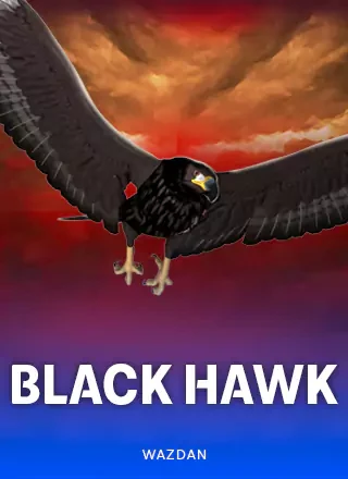 ภาพหน้าปกเกม Black Hawk ในรายการดัชนีเกม pg หน้าแรก
